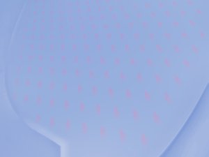 数据库空间预测：容量规划的实用方法